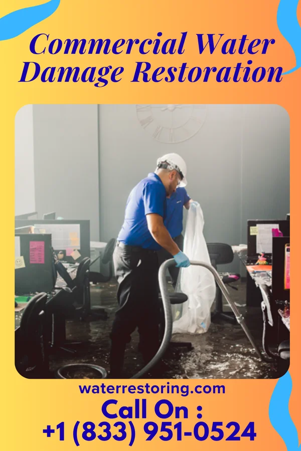 Commercial Water Damage Restoration in Tennessee Ridge, TN