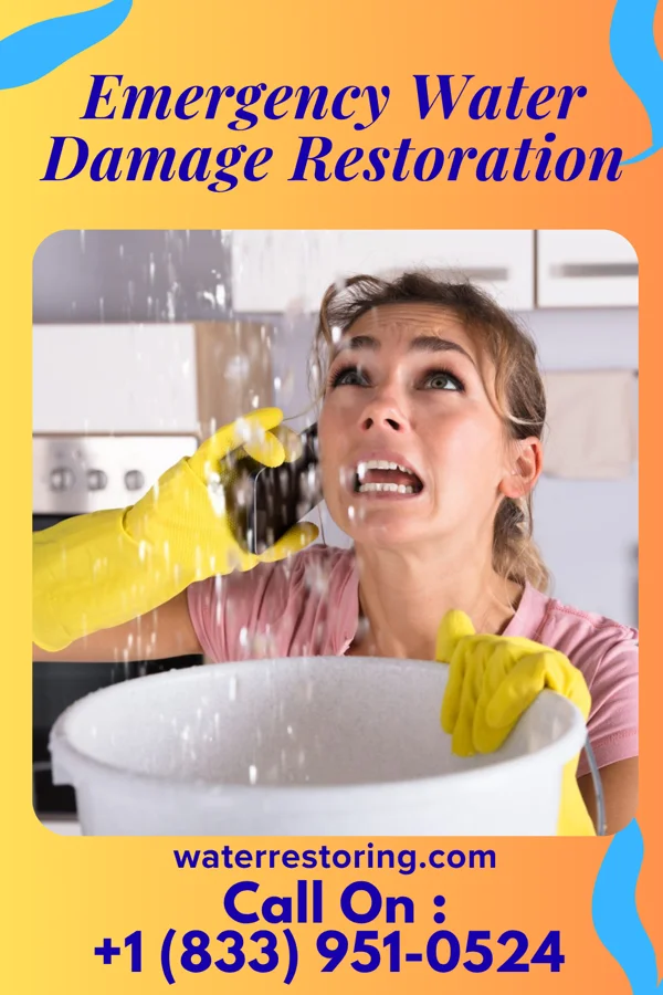 Emergency Water Damage Restoration in Tennessee Ridge, TN