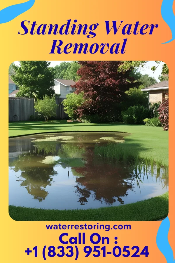 Standing Water Removal in Tennessee Ridge, TN